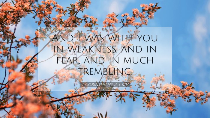 Picture 07 - 1 Corinthians 2:3 KJV Desktop Wallpaper - And I was with you in weakness, and in fear, and - Desktop Bible Verse Wallpaper