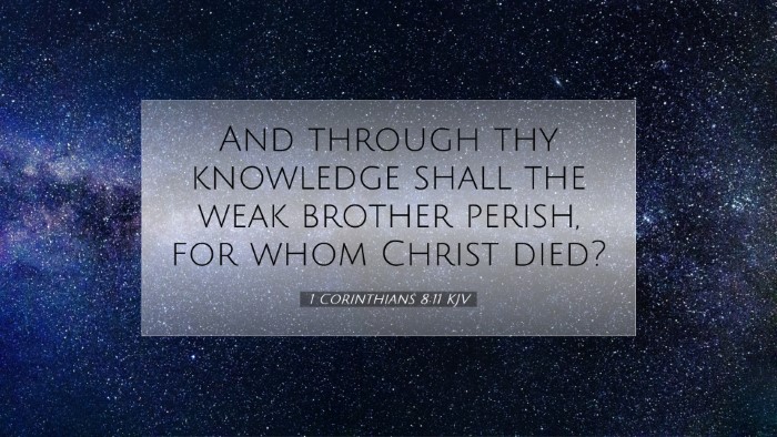Picture 07 - 1 Corinthians 8:11 KJV Desktop Wallpaper - And through thy knowledge shall the weak brother - Desktop Bible Verse Wallpaper