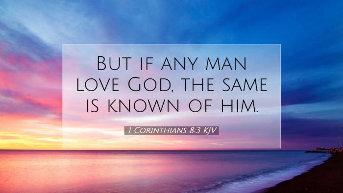 Picture 07 - 1 Corinthians 8:3 KJV Desktop Wallpaper - But if any man love God, the same is known of - Desktop Bible Verse Wallpaper