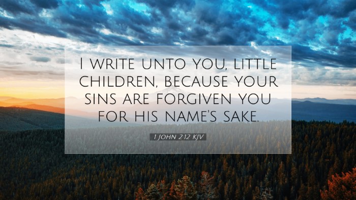 Picture 07 - 1 John 2:12 KJV Desktop Wallpaper - I write unto you, little children, because your - Desktop Bible Verse Wallpaper