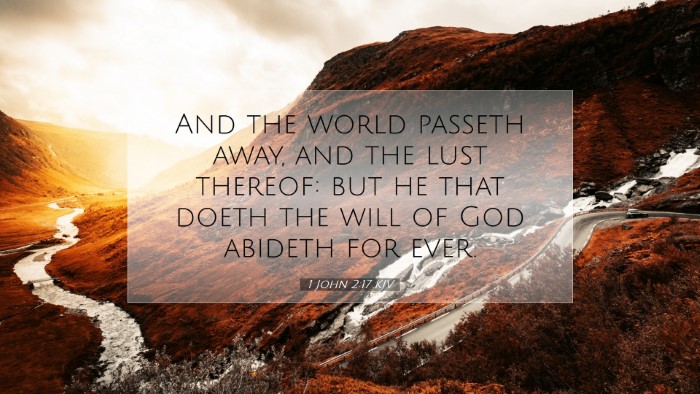 Picture 07 - 1 John 2:17 KJV Desktop Wallpaper - And the world passeth away, and the lust thereof: - Desktop Bible Verse Wallpaper