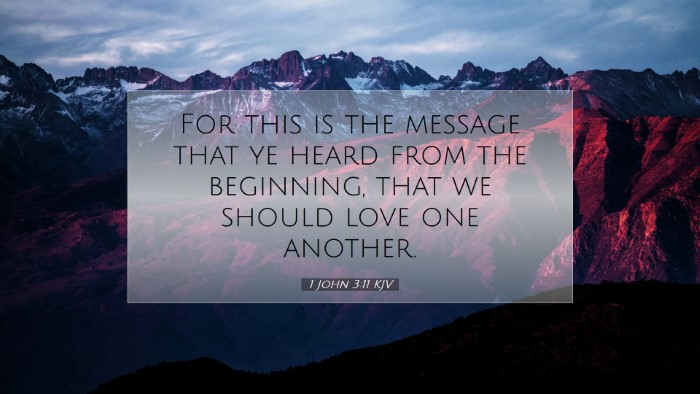 Picture 07 - 1 John 3:11 KJV Desktop Wallpaper - For this is the message that ye heard from the - Desktop Bible Verse Wallpaper