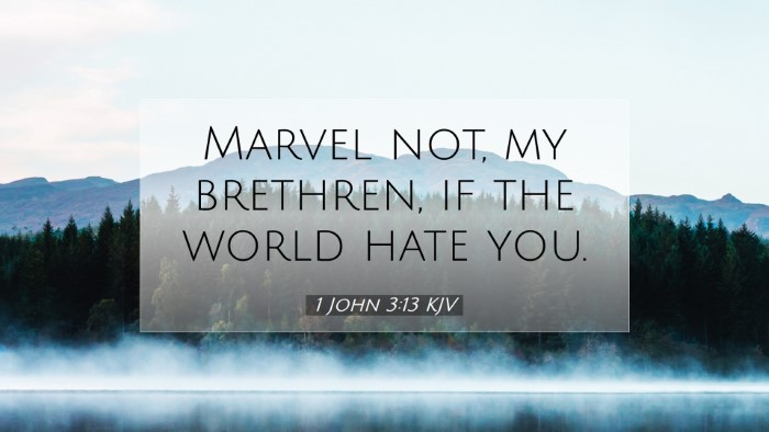 Picture 07 - 1 John 3:13 KJV Desktop Wallpaper - Marvel not, my brethren, if the world hate - Desktop Bible Verse Wallpaper