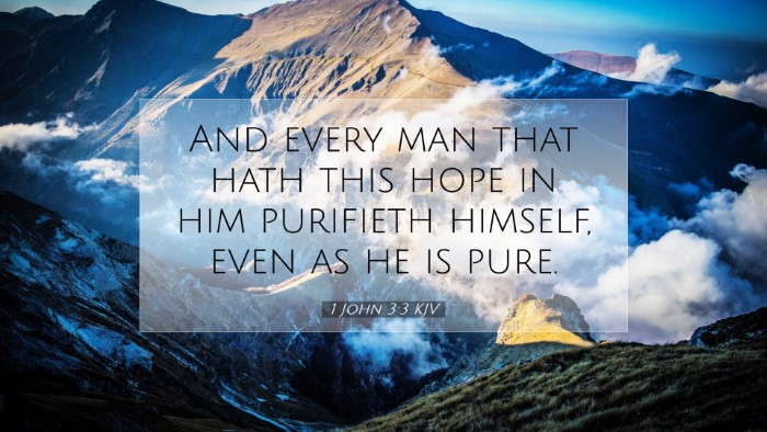 Picture 07 - 1 John 3:3 KJV Desktop Wallpaper - And every man that hath this hope in him - Desktop Bible Verse Wallpaper