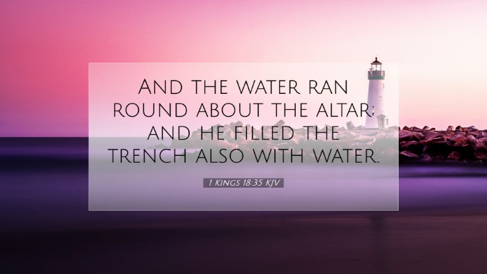 Picture 07 - 1 Kings 18:35 KJV Desktop Wallpaper - And the water ran round about the altar; and he - Desktop Bible Verse Wallpaper