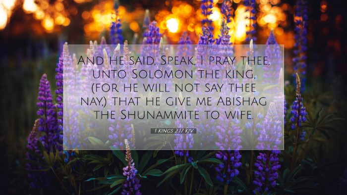 Picture 07 - 1 Kings 2:17 KJV Desktop Wallpaper - And he said, Speak, I pray thee, unto Solomon the - Desktop Bible Verse Wallpaper
