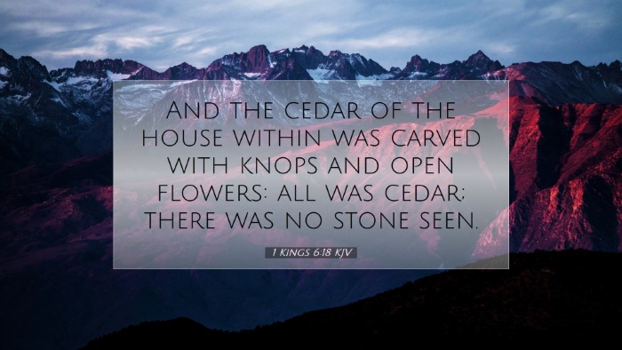 Picture 07 - 1 Kings 6:18 KJV Desktop Wallpaper - And the cedar of the house within was carved with - Desktop Bible Verse Wallpaper