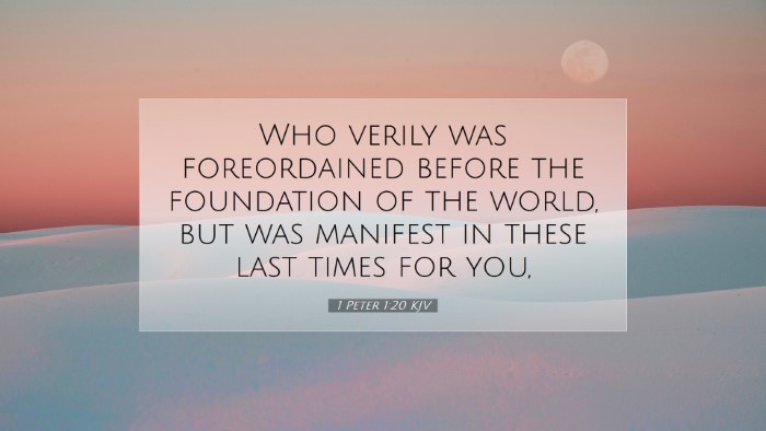 Picture 07 - 1 Peter 1:20 KJV Desktop Wallpaper - Who verily was foreordained before the foundation - Desktop Bible Verse Wallpaper