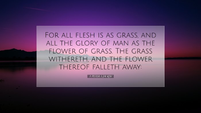 Picture 07 - 1 Peter 1:24 KJV Desktop Wallpaper - For all flesh is as grass, and all the glory of - Desktop Bible Verse Wallpaper