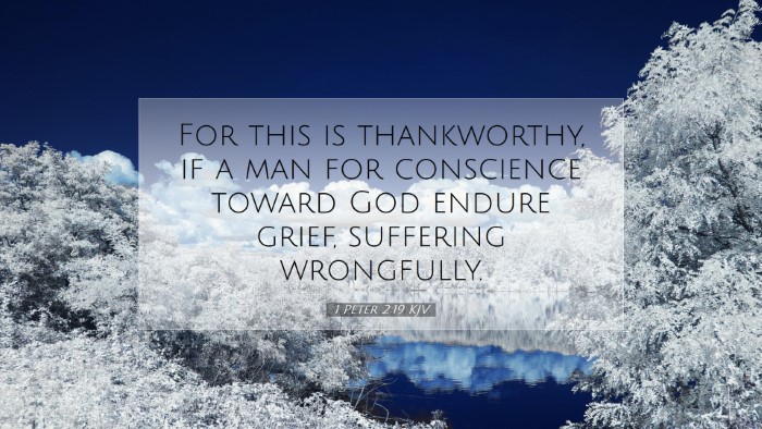 Picture 07 - 1 Peter 2:19 KJV Desktop Wallpaper - For this is thankworthy, if a man for conscience - Desktop Bible Verse Wallpaper