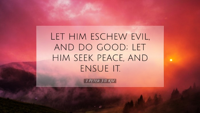 Picture 07 - 1 Peter 3:11 KJV Desktop Wallpaper - Let him eschew evil, and do good; let him seek - Desktop Bible Verse Wallpaper