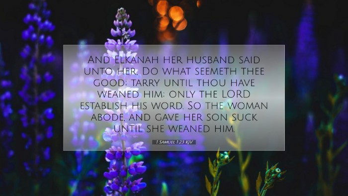 Picture 07 - 1 Samuel 1:23 KJV Desktop Wallpaper - And Elkanah her husband said unto her, Do what - Desktop Bible Verse Wallpaper