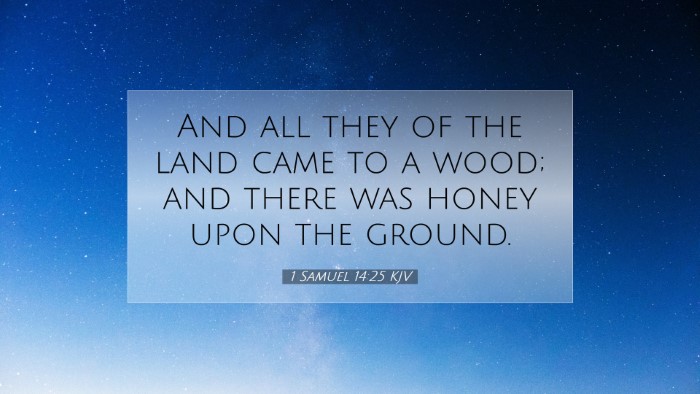 Picture 07 - 1 Samuel 14:25 KJV Desktop Wallpaper - And all they of the land came to a wood; and - Desktop Bible Verse Wallpaper