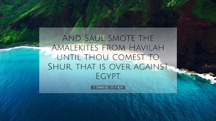 Picture 07 - 1 Samuel 15:7 KJV Desktop Wallpaper - And Saul smote the Amalekites from Havilah until - Desktop Bible Verse Wallpaper