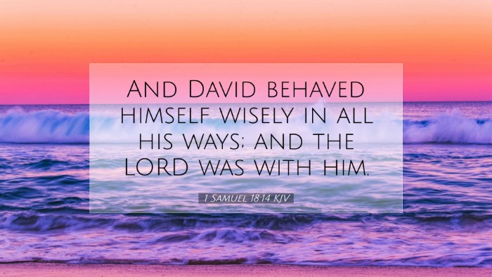 Picture 07 - 1 Samuel 18:14 KJV Desktop Wallpaper - And David behaved himself wisely in all his ways; - Desktop Bible Verse Wallpaper