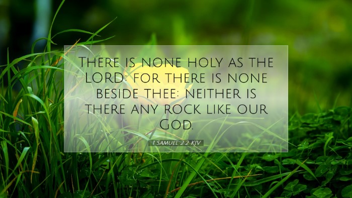 Picture 07 - 1 Samuel 2:2 KJV Desktop Wallpaper - There is none holy as the LORD: for there is none - Desktop Bible Verse Wallpaper