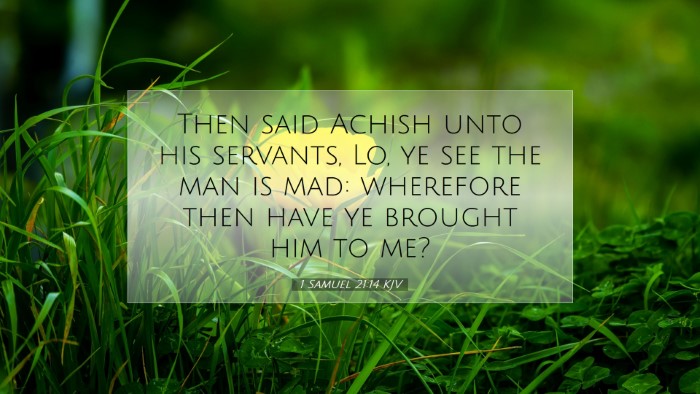 Picture 07 - 1 Samuel 21:14 KJV Desktop Wallpaper - Then said Achish unto his servants, Lo, ye see - Desktop Bible Verse Wallpaper