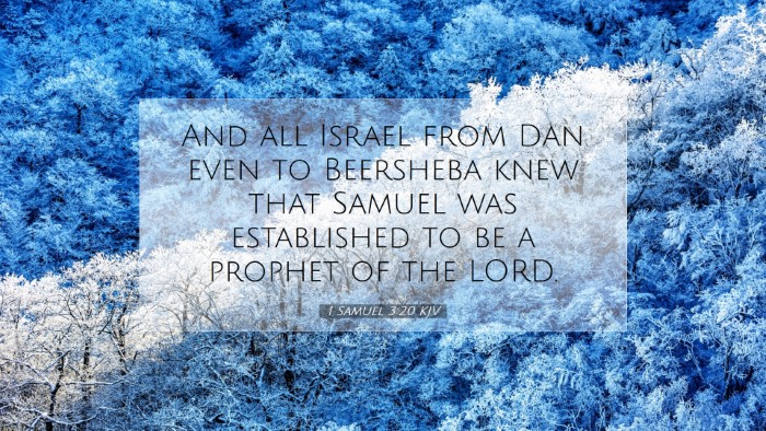 Picture 07 - 1 Samuel 3:20 KJV Desktop Wallpaper - And all Israel from Dan even to Beersheba knew - Desktop Bible Verse Wallpaper