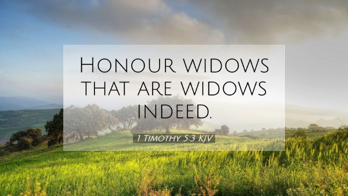 Picture 07 - 1 Timothy 5:3 KJV Desktop Wallpaper - Honour widows that are widows - Desktop Bible Verse Wallpaper