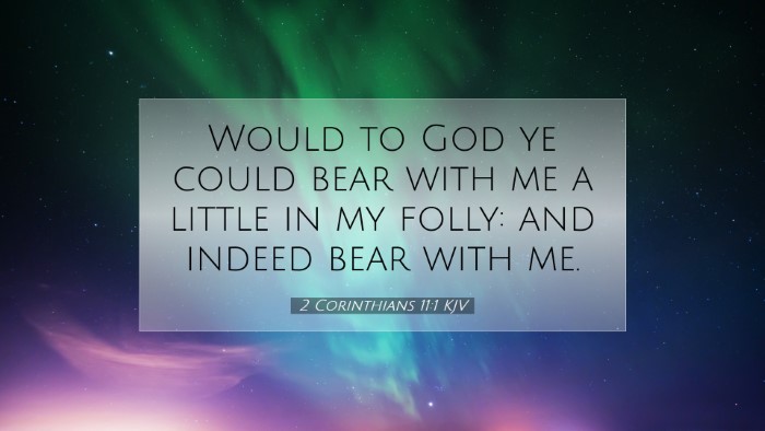 Picture 07 - 2 Corinthians 11:1 KJV Desktop Wallpaper - Would to God ye could bear with me a little in my - Desktop Bible Verse Wallpaper