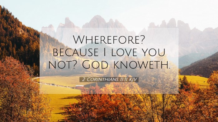 Picture 07 - 2 Corinthians 11:11 KJV Desktop Wallpaper - Wherefore? because I love you not? God - Desktop Bible Verse Wallpaper