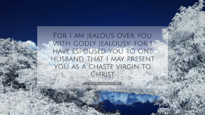 Picture 07 - 2 Corinthians 11:2 KJV Desktop Wallpaper - For I am jealous over you with godly jealousy: - Desktop Bible Verse Wallpaper