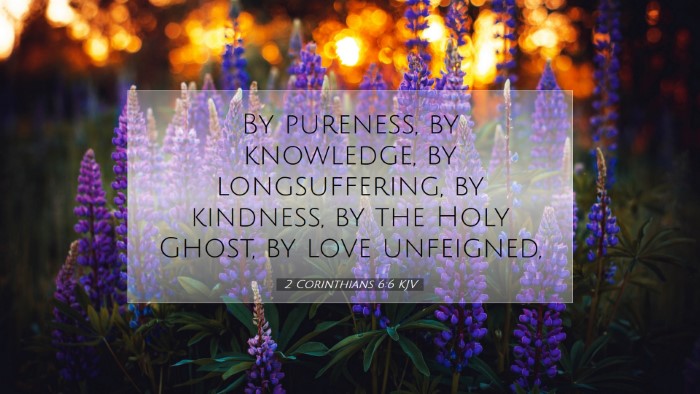 Picture 07 - 2 Corinthians 6:6 KJV Desktop Wallpaper - By pureness, by knowledge, by longsuffering, by - Desktop Bible Verse Wallpaper