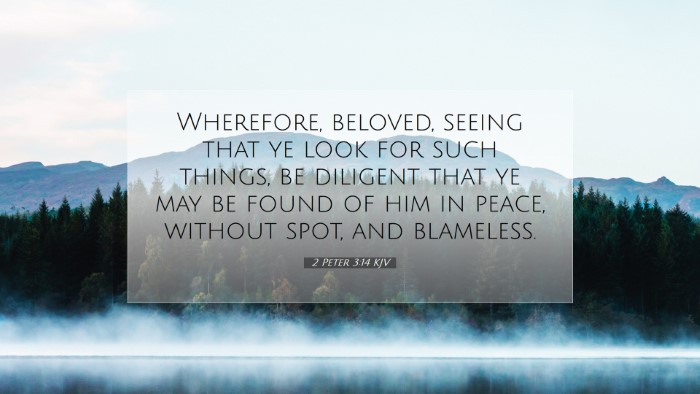 Picture 07 - 2 Peter 3:14 KJV Desktop Wallpaper - Wherefore, beloved, seeing that ye look for such - Desktop Bible Verse Wallpaper