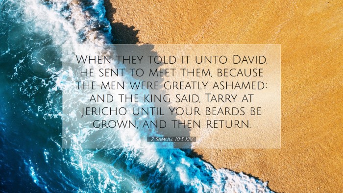 Picture 07 - 2 Samuel 10:5 KJV Desktop Wallpaper - When they told it unto David, he sent to meet - Desktop Bible Verse Wallpaper