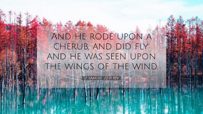 Picture 07 - 2 Samuel 22:11 KJV Desktop Wallpaper - And he rode upon a cherub, and did fly: and he - Desktop Bible Verse Wallpaper