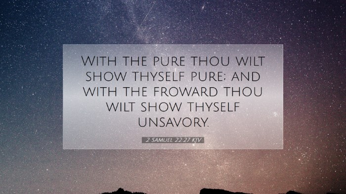 Picture 07 - 2 Samuel 22:27 KJV Desktop Wallpaper - With the pure thou wilt show thyself pure; and - Desktop Bible Verse Wallpaper