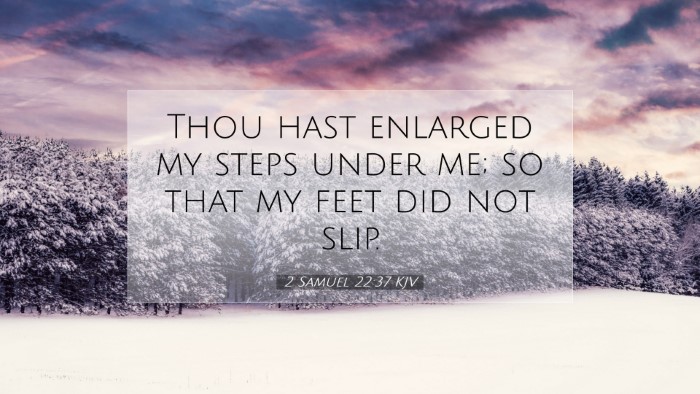 Picture 07 - 2 Samuel 22:37 KJV Desktop Wallpaper - Thou hast enlarged my steps under me; so that my - Desktop Bible Verse Wallpaper