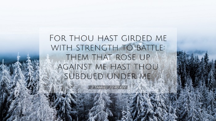 Picture 07 - 2 Samuel 22:40 KJV Desktop Wallpaper - For thou hast girded me with strength to battle: - Desktop Bible Verse Wallpaper