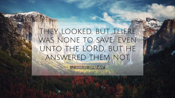 Picture 07 - 2 Samuel 22:42 KJV Desktop Wallpaper - They looked, but there was none to save; even - Desktop Bible Verse Wallpaper