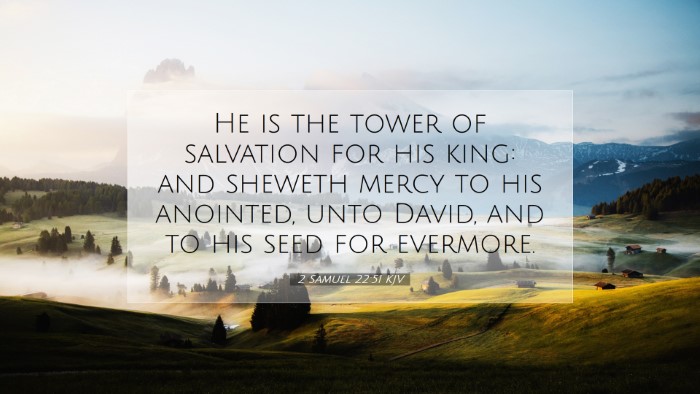 Picture 07 - 2 Samuel 22:51 KJV Desktop Wallpaper - He is the tower of salvation for his king: and - Desktop Bible Verse Wallpaper