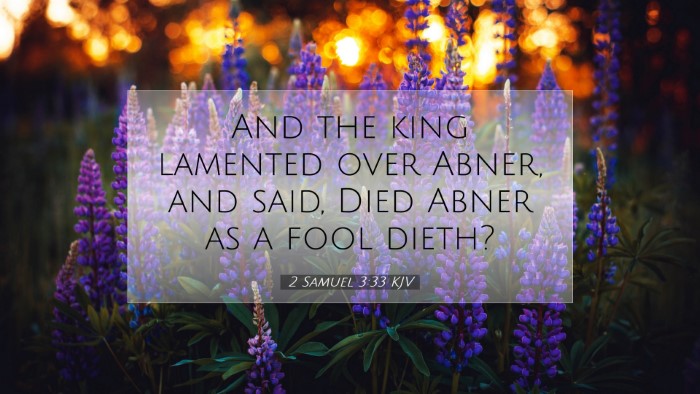 Picture 07 - 2 Samuel 3:33 KJV Desktop Wallpaper - And the king lamented over Abner, and said, Died - Desktop Bible Verse Wallpaper