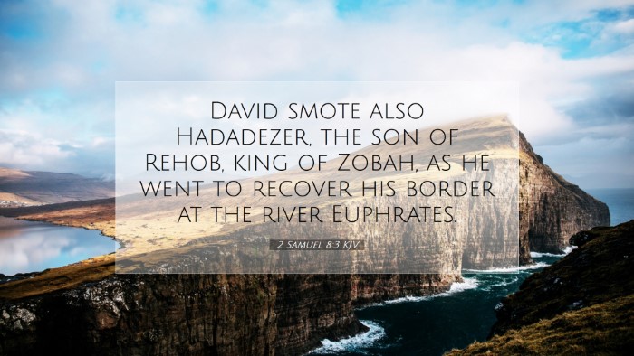 Picture 07 - 2 Samuel 8:3 KJV Desktop Wallpaper - David smote also Hadadezer, the son of Rehob, - Desktop Bible Verse Wallpaper