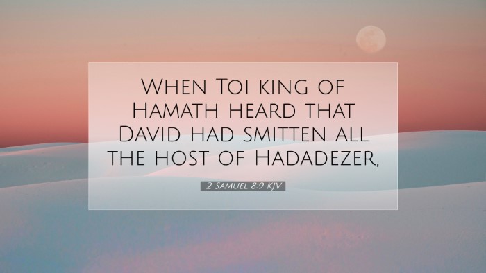 Picture 07 - 2 Samuel 8:9 KJV Desktop Wallpaper - When Toi king of Hamath heard that David had - Desktop Bible Verse Wallpaper