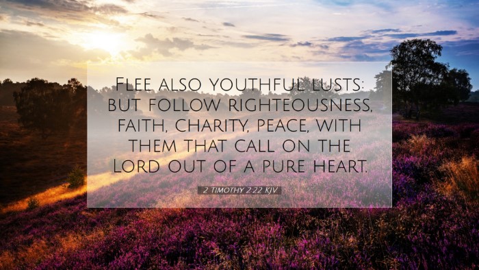 Picture 07 - 2 Timothy 2:22 KJV Desktop Wallpaper - Flee also youthful lusts: but follow - Desktop Bible Verse Wallpaper