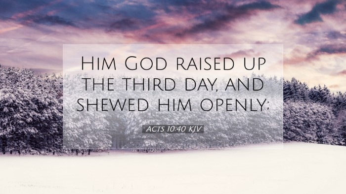 Picture 07 - Acts 10:40 KJV Desktop Wallpaper - Him God raised up the third day, and shewed him - Desktop Bible Verse Wallpaper