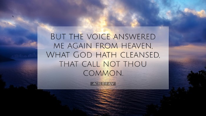Picture 07 - Acts 11:9 KJV Desktop Wallpaper - But the voice answered me again from heaven, What - Desktop Bible Verse Wallpaper