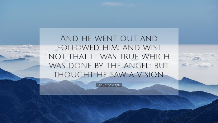 Picture 07 - Acts 12:9 KJV Desktop Wallpaper - And he went out, and followed him; and wist not - Desktop Bible Verse Wallpaper