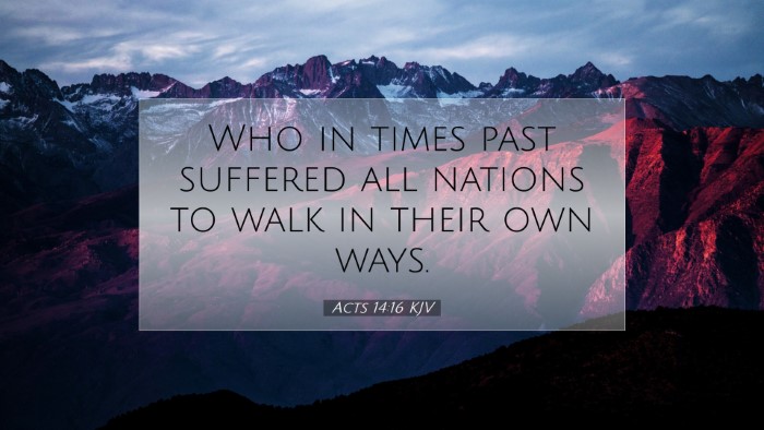Picture 07 - Acts 14:16 KJV Desktop Wallpaper - Who in times past suffered all nations to walk in - Desktop Bible Verse Wallpaper