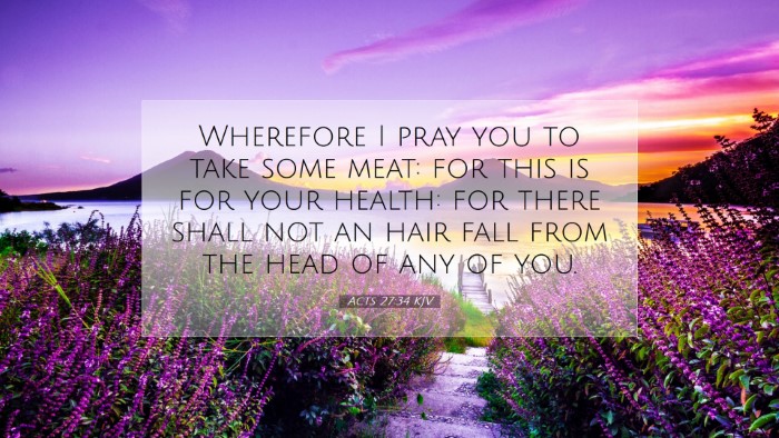 Picture 07 - Acts 27:34 KJV Desktop Wallpaper - Wherefore I pray you to take some meat: for this - Desktop Bible Verse Wallpaper