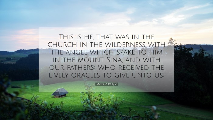 Picture 07 - Acts 7:38 KJV Desktop Wallpaper - This is he, that was in the church in the - Desktop Bible Verse Wallpaper