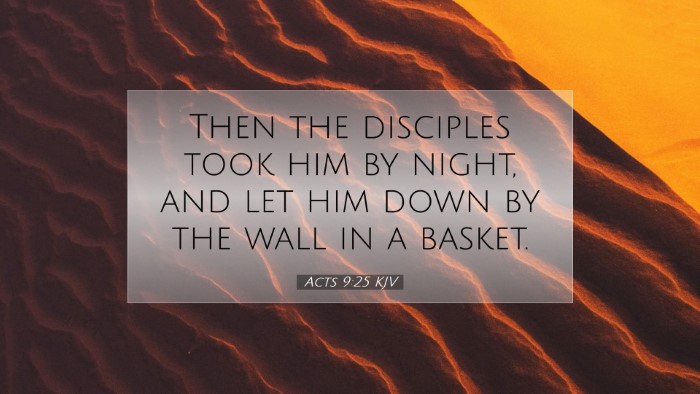 Picture 07 - Acts 9:25 KJV Desktop Wallpaper - Then the disciples took him by night, and let him - Desktop Bible Verse Wallpaper