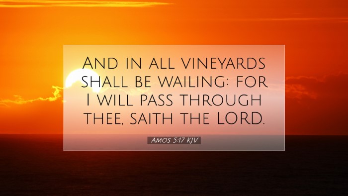 Picture 07 - Amos 5:17 KJV Desktop Wallpaper - And in all vineyards shall be wailing: for I will - Desktop Bible Verse Wallpaper