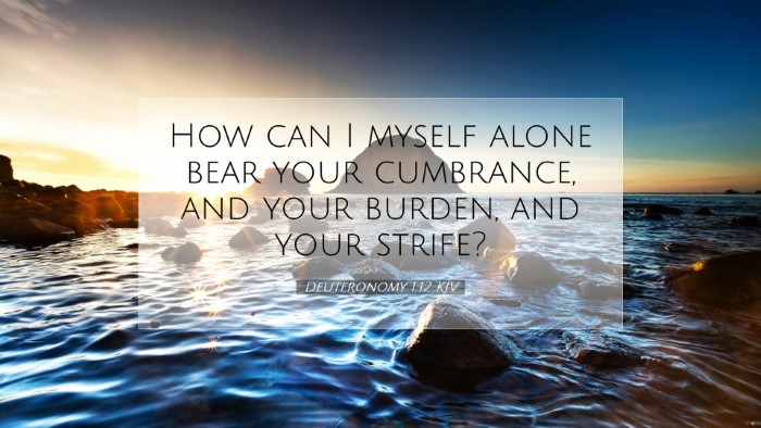 Picture 07 - Deuteronomy 1:12 KJV Desktop Wallpaper - How can I myself alone bear your cumbrance, and - Desktop Bible Verse Wallpaper