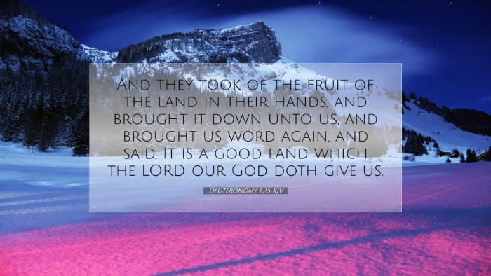 Picture 07 - Deuteronomy 1:25 KJV Desktop Wallpaper - And they took of the fruit of the land in their - Desktop Bible Verse Wallpaper