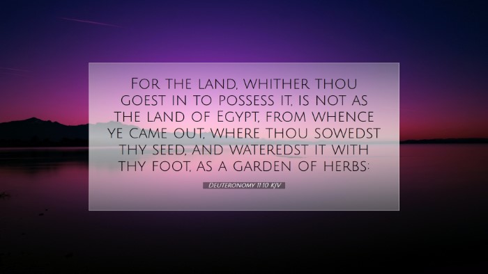 Picture 07 - Deuteronomy 11:10 KJV Desktop Wallpaper - For the land, whither thou goest in to possess - Desktop Bible Verse Wallpaper